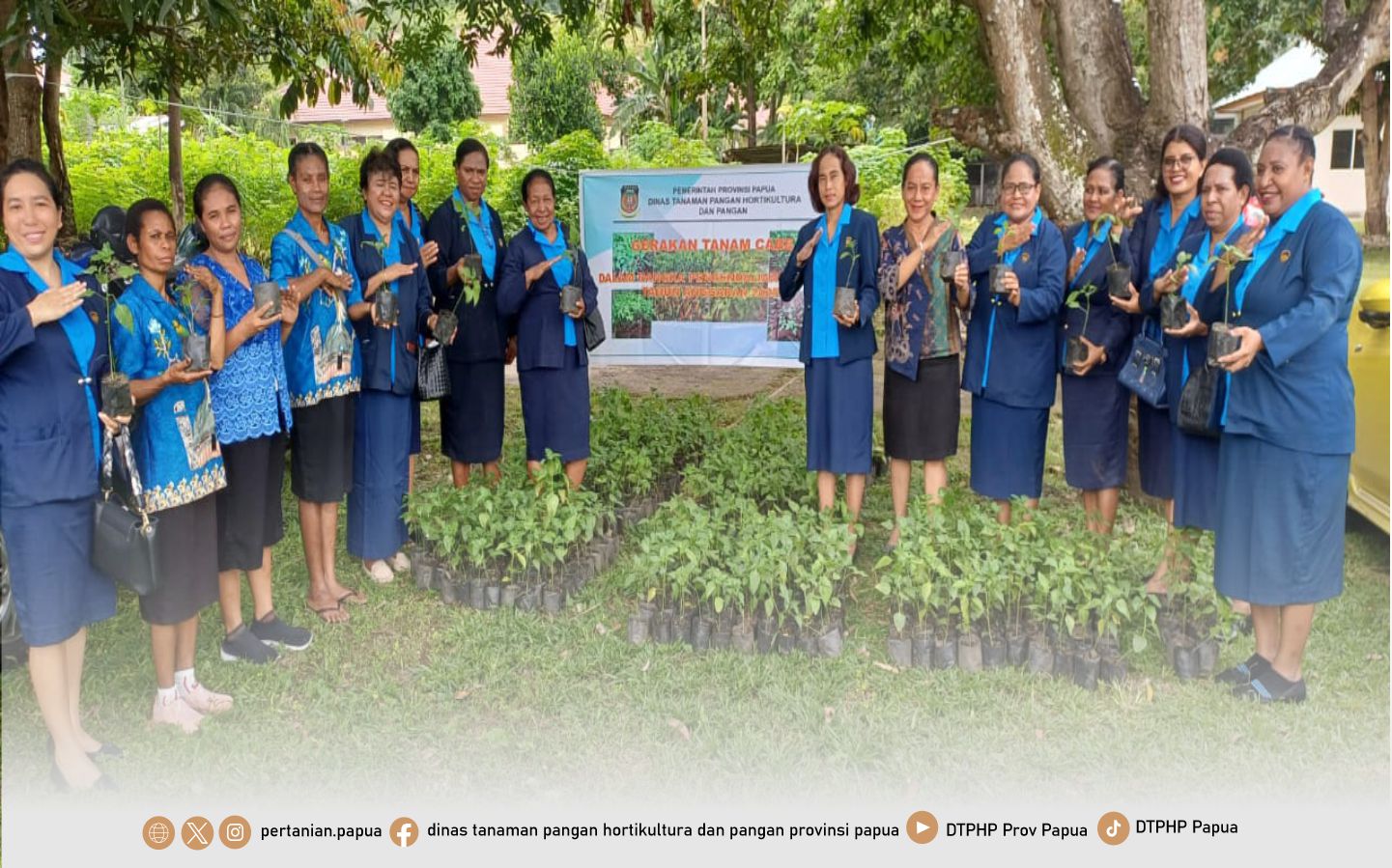 Dinas TPHP Papua Serahkan 800 Bibit Cabai untuk [...]